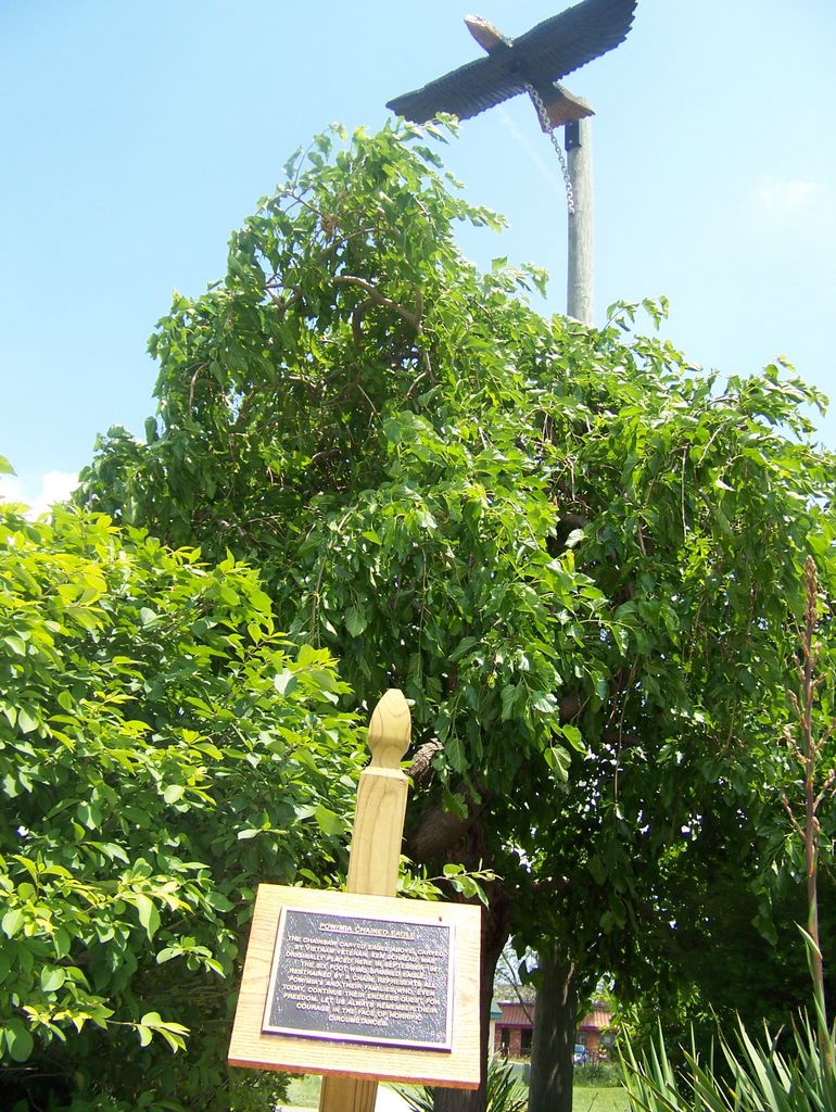 ppc2008_003.jpg (large)